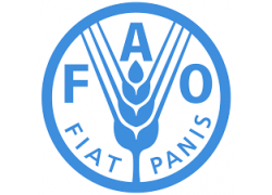 41-FAO.png